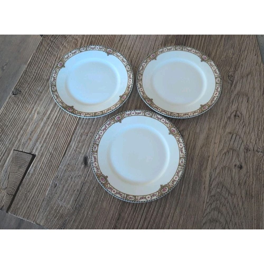 Vintage Theodore Haviland Limoges France Belfort Salad Dessert Bread Plate 3 Pcs